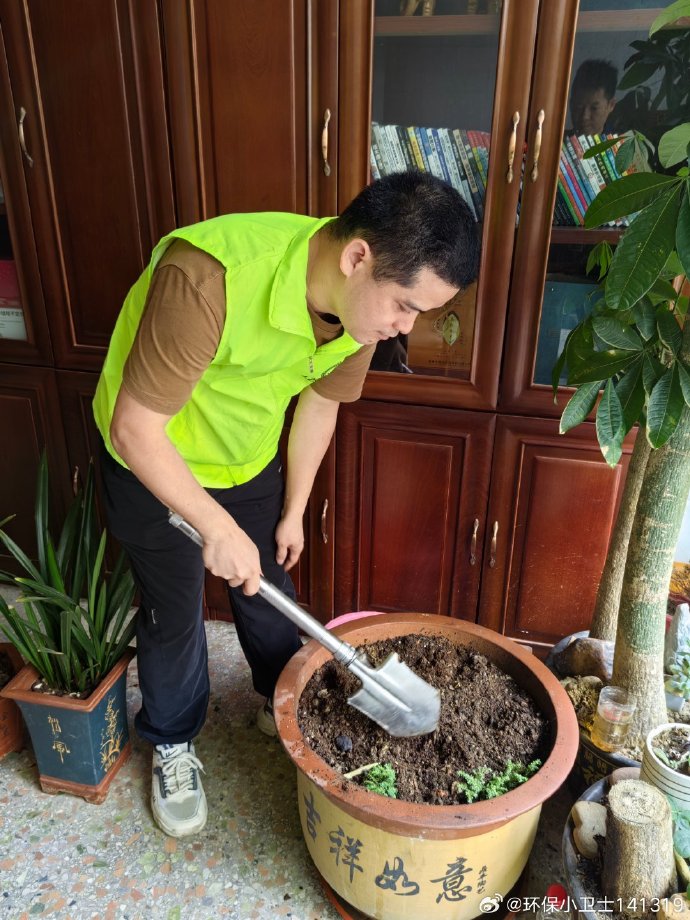 LeilaniNowdtjt's tweet photo. Cuidado básico de plantas: riega solo cuando la tierra esté seca, dales luz indirecta y evita corrientes fuertes. Así crecerán sanas! https://t.co/v2g3KzfYq2