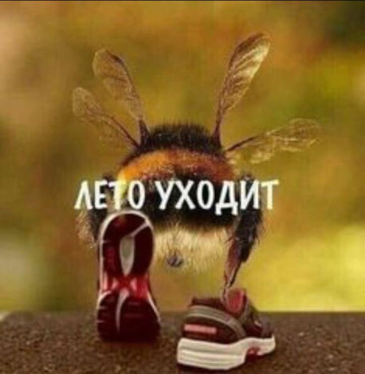 msmssoss's tweet photo. Ребят https://t.co/oZ2e32YdU5