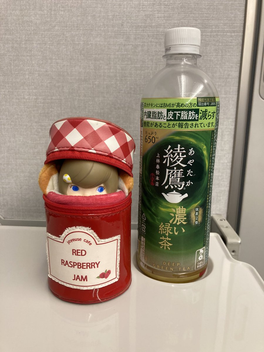 9sQ3p's tweet photo. お出掛けです♪
どこに行くのかな？🤔
#ソフビのポラリ https://t.co/GxuJPfRyUW