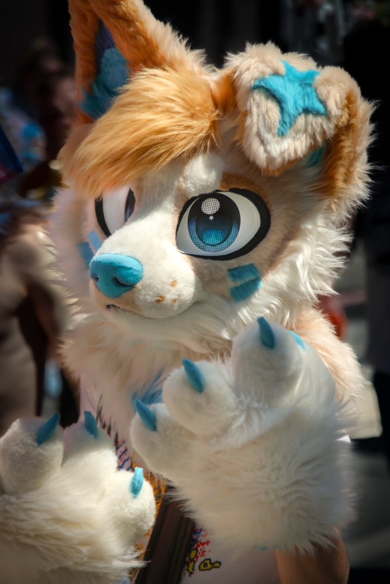 FaberGoneFeral's tweet photo. Genuinely, I’m almost begging, does anyone in Washington state want or know someone who might want a photoshoot from me? 

Here’s some of my work: https://t.co/c8Ag34Oxrv