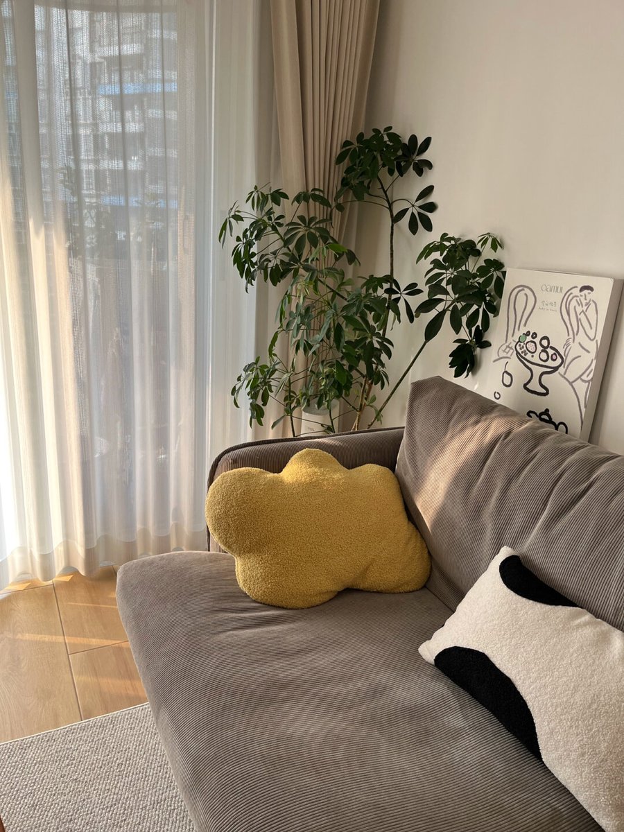 SaySayRies's tweet photo. Just finished folding the clean laundry while sunlight streams through the window—small wins that make the day feel warm and tidy https://t.co/jtJfUvUq8Z