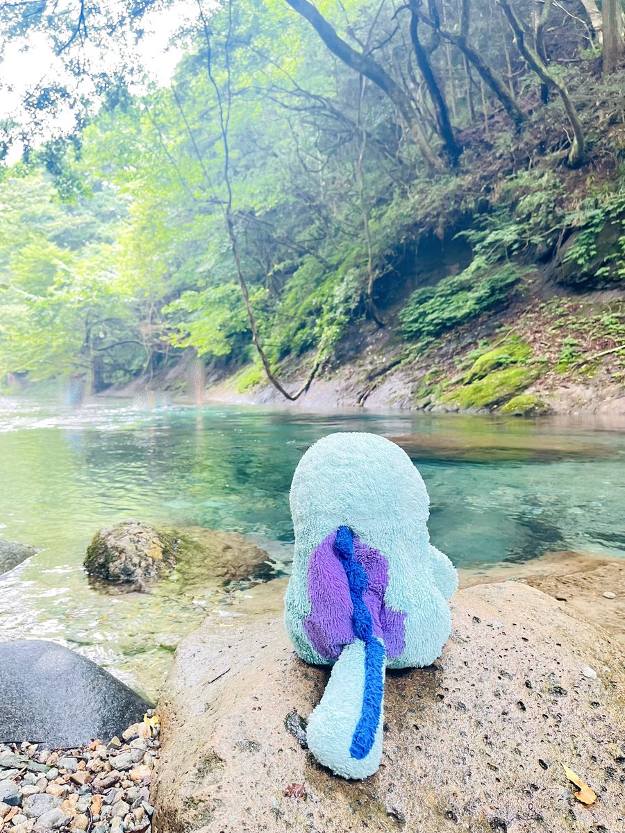 arisan_rem's tweet photo. 栃木県にある木の俣渓谷に行っただぬよ(˙𐃷˙)🏞✨️
水がとても綺麗だぬ(˙𐃷˙)ﾇﾎﾞｫ https://t.co/r6UHK6I1Yq