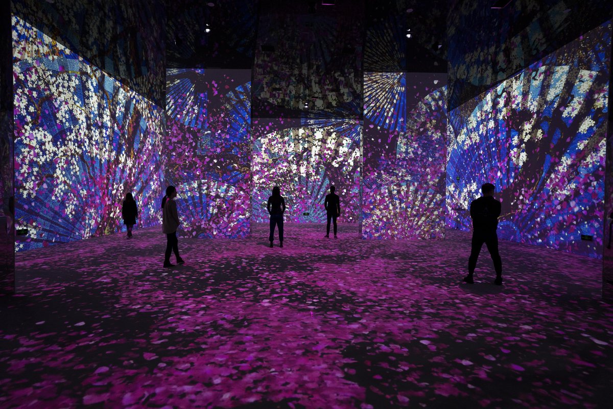 Cindy0527's tweet photo. Loved losing track of time exploring the immersive light art exhibit tonight—colors dancing to soft music, pure magic for the soul. https://t.co/6s2NTTpPgw