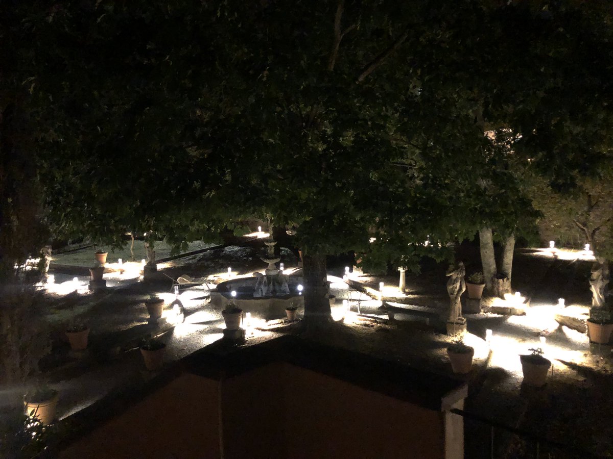 ProfNiggli's tweet photo. Gestern Abend. Der letzte Abend vor dem nächsten Kurs in Buti (zur richterlichen Entscheidung). Noch schläft der Garten. 

Die Kurse: https://t.co/Ym0SDEBDHH

Newsletter: https://t.co/YpbiVwhrSZ https://t.co/qSUpBgI4Gv