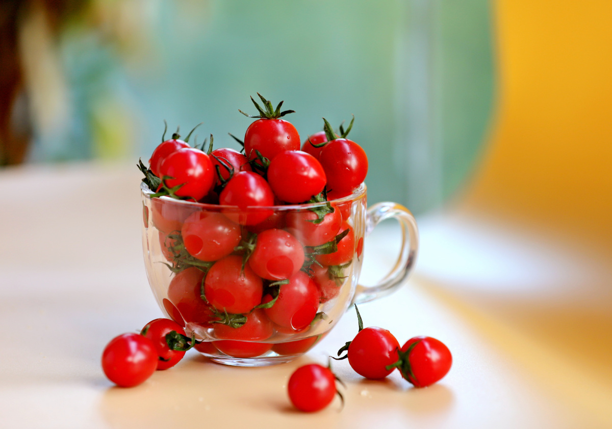 MuhammedNafel's tweet photo. Just tried the new organic cherry tomatoes from local farm—sweet, juicy, no weird aftertaste! Perfect for salads or snacking. https://t.co/qSNNSX0C1Z