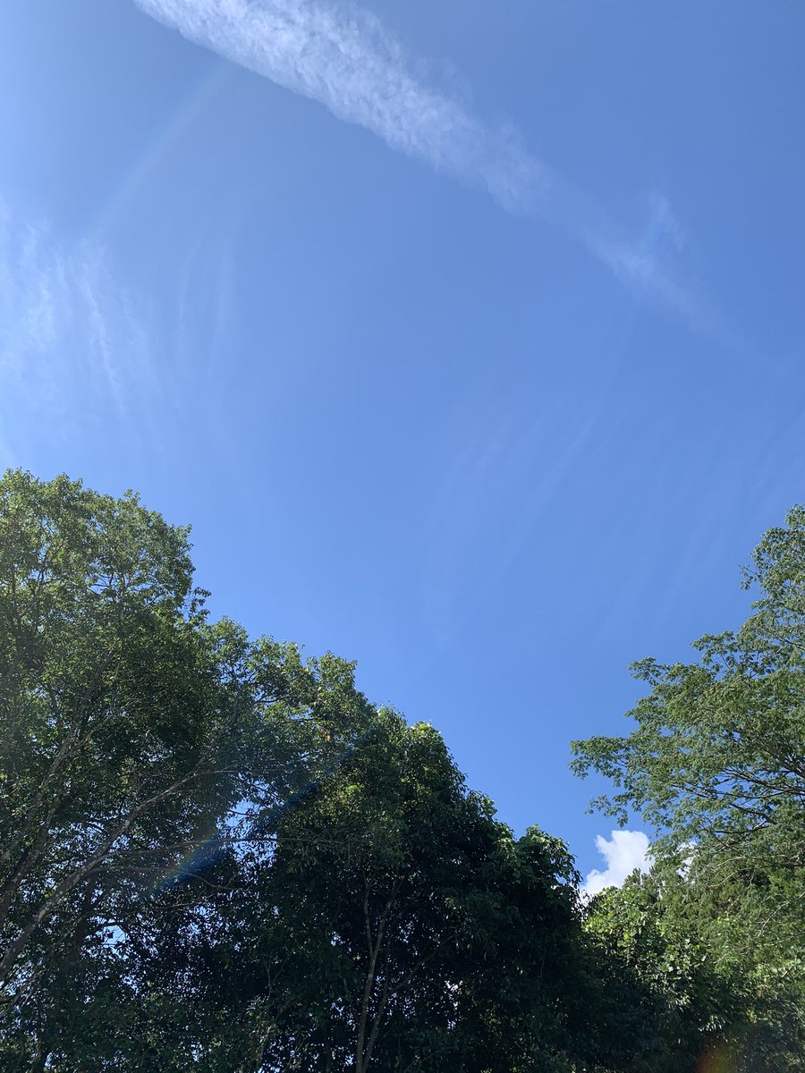 sobasobafan's tweet photo. #つるぎ町　#今日の空

お盆は仕事だったので、今日やっとつるぎ町へ https://t.co/MA1wdfEFJA