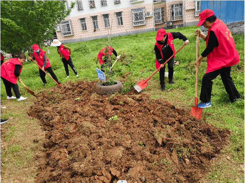 adeliananda20's tweet photo. Just wrapped 2 days of community garden cleanup with local volunteers! Planted 50 saplings, harvested 20kg veggies for food-insecure neighbors, and made new friends—small steps make big impacts , https://t.co/7rtQsn2Ska