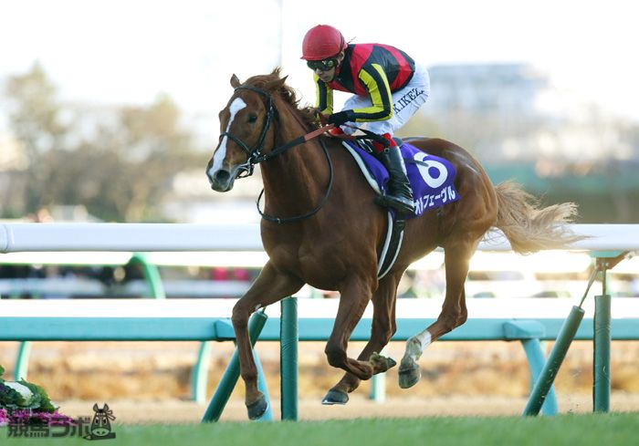 keibalab's tweet photo. 【🐈】
日曜中京2R・2歳新馬ではオルフェーヴル産駒のキトゥンズクラフトが吉村誠之助騎手を背にデビュー。半姉は桜花賞3着馬リンクスティップ。

馬名意味は"子猫の細工"。父の"金細工師"オルフェーヴルを管理した池江泰寿厩舎所属。
#キトゥンズクラフト #吉村誠之助
https://t.co/BZJSl4hNIL https://t.co/0XihfAJGKT