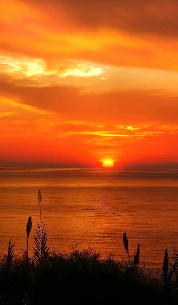 SunilDa43451016's tweet photo. Just stared at the sunset alone, watching pink-orange hues melt into the sea—suddenly felt that quiet, soft warmth wrap around my chest, like a gentle reminder that small moments matter.， https://t.co/ohSclvsDSf