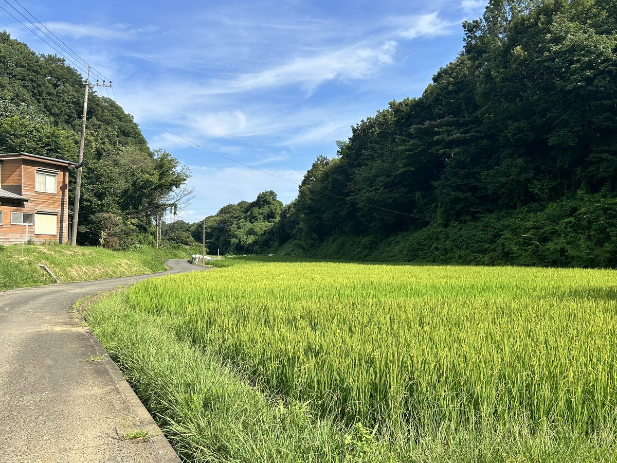 tesupure's tweet photo. 今日の川崎市。 https://t.co/gUJNwhB8vE