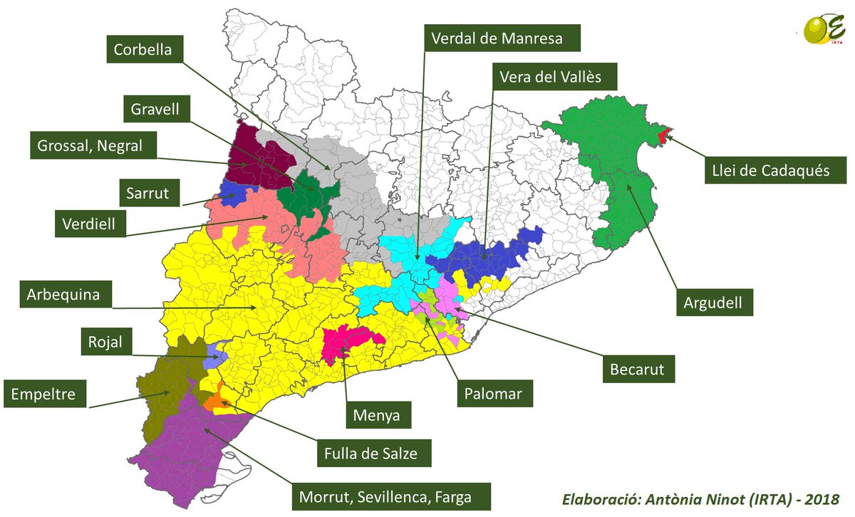 DancsCatalans's tweet photo. Inexplicable, ni que a Catalunya l'oli d'oliva tingués més de 2500 anys d'història, desenes de varietats autòctones, 5 DO diferents i centenars de molins cooperatius.

Haurien d'haver anat a una ciutat horrible perquè hi ha un càrtel latifundista amb monocultius monopolístics. https://t.co/fS7bpwWAfN