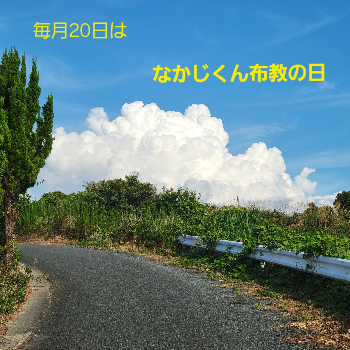 misahagi7531's tweet photo. 雲がねモクモクしてて面白かったから写真撮ってみたよ

元気かい？

配信いけてないけど、私は何とか生きてるよ

残暑見舞い申し上げますみたいになっちゃった

 #なかじくん布教の日 https://t.co/Mw2EvtaVwj