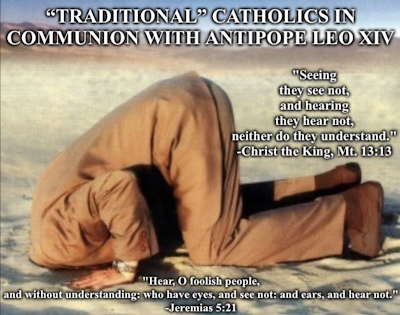julia65923's tweet photo. @FrStephenImb What any thinking Catholic must do now, however, is to question whether 'the Pope' is 'the pope'. Or even Catholic.https://t.co/EBeEMBBDpU https://t.co/CxVpqII60q