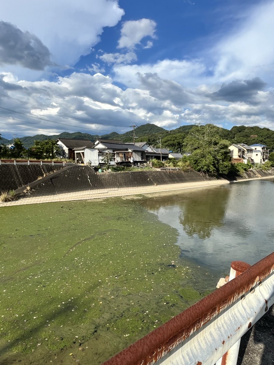 ShiratamayaSZR's tweet photo. 地震で砂川の地形が変わり、川底が一部浅くなりました。

小魚も川面からよく見える状態になったので、この辺りではいなかったカワセミが飛ぶようになりました。

鮮やかな青い羽がキラキラと煌めきながら飛んでいく様が疲れた心を慰めてくれます。
いつかその姿をカメラに収めたいです。 https://t.co/b6AdgmKJQY