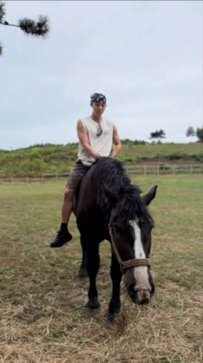 ombrechuchotee's tweet photo. 🐎🐎🐎🐎 https://t.co/v0I2UNDsAh
