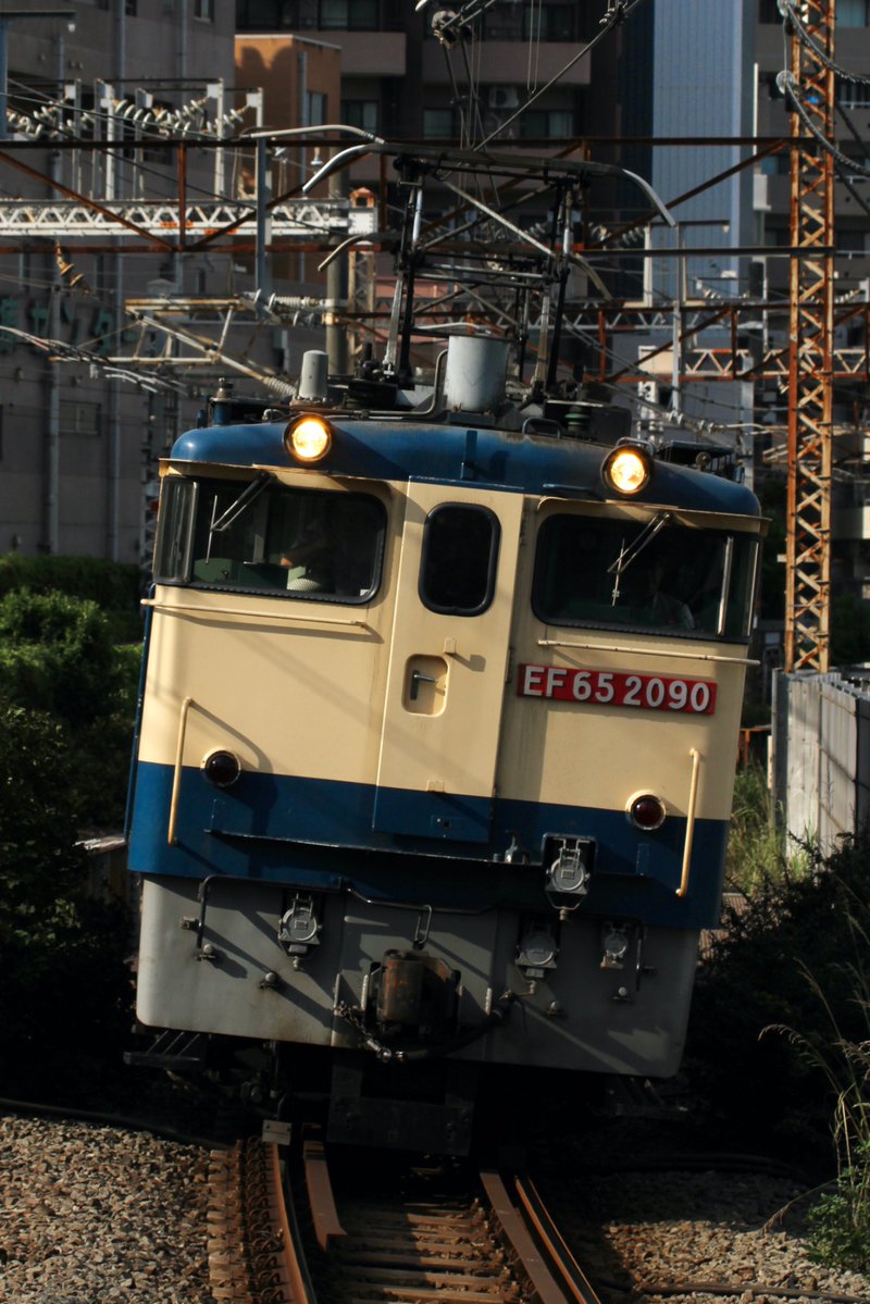 rokuyontami's tweet photo. 2026.08.20 単9776レ EF65 2090 
りんかい線Z15編成甲種輸送返却
夏の夕陽に照らされて新鶴見へと帰って行きました。武蔵小杉でお会いした皆さんお疲れ様でした！ https://t.co/2QDI1tjbp6