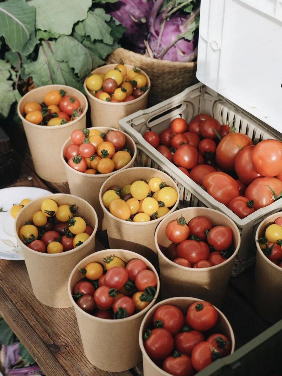 Antaniyah2's tweet photo. [Stock up on fresh organic cherry tomatoes, basil and garlic for tonight’s pasta night! Limited stock at the local farmers’ market—grab yours before they’re gone!]， https://t.co/Vfjd7NDtKw