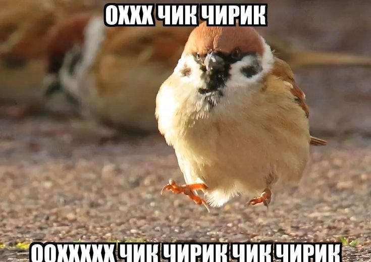 var111non_stop's tweet photo. Заказать такси или поехать на автобусе: ❎❎❎
Ебланить с друзьями по всему городу, а затем идти до дома 10 километров: ✅✅✅ https://t.co/H0IesgjHBp