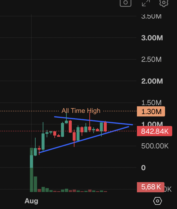 Crypto_peet's tweet photo. I am expecting a major breakout for $ARMARA next 3-5 days, $SOL is also moving, solid plays will start to move soonish

bet on #AI, bet on solid teams, be early https://t.co/qw4J5KCQ5w
