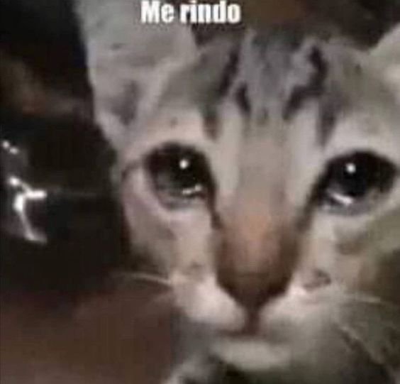 yoonly_h's tweet photo. Cuando ve al sugakookie aun pensara en nosotros?  O cuando ve al yoongi pensara en mí? https://t.co/kN43m0Y6rN