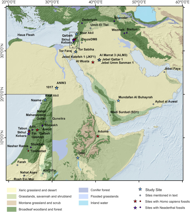 ivandiazsm's tweet photo. Un reciente estudio publicado en Quaternary Science Reviews revela que los neandertales se adentraron en el interior de la península arábiga hace unos 55.000 años, desafiando la visión que los limitaba a entornos fríos. Investigadores analizaron herramientas de piedra Levallois https://t.co/y2AJNRL3QL