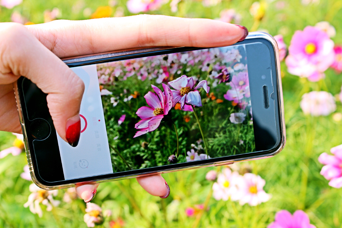 bisson_melvin's tweet photo. New to photography Start small: grab your phone, frame a simple scene, and adjust brightness a little. No fancy gear needed—practice builds great shots!， https://t.co/pGE4gZCc73
