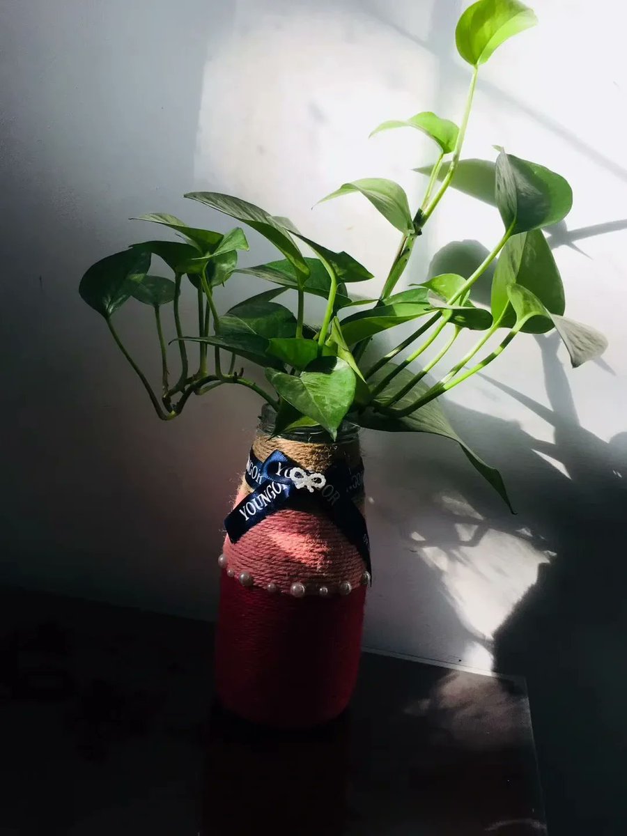murmurahul59's tweet photo. Turned an old mason jar into a cute desk pen holder with just some twine and paint  Upcycling wins! https://t.co/WKnvccFtIe