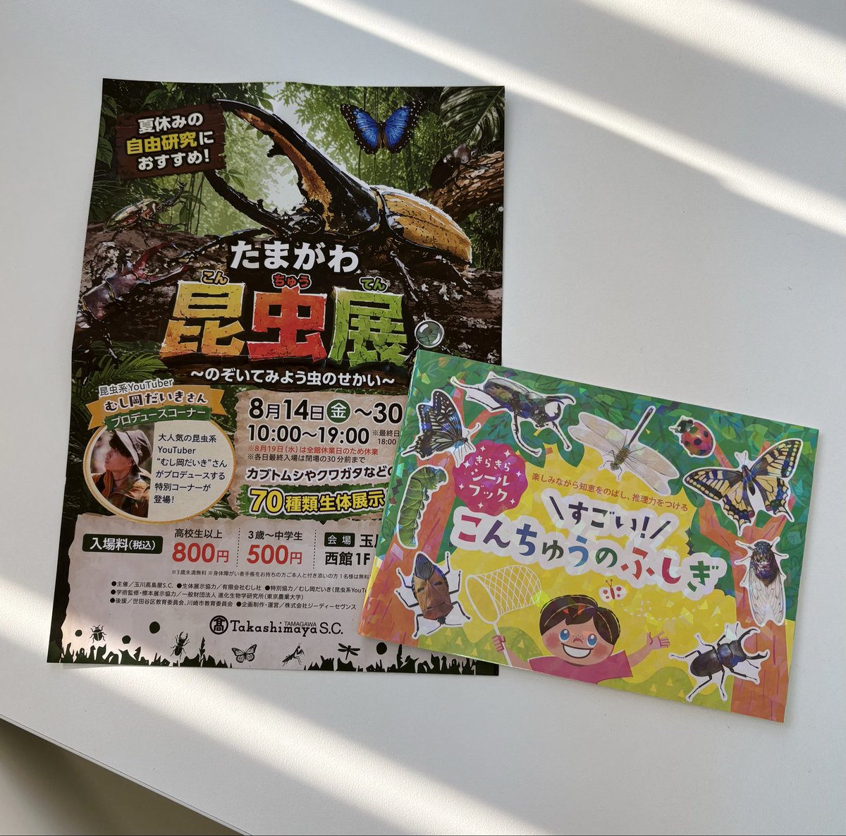liebam_room's tweet photo. .
玉川高島屋アレーナホールで開催中の たまがわ昆虫展 🐞✨

カブトムシやクワガタなど、70種類の昆虫が大集合！
スタンプラリーや、昆虫YouTuberむし岡だいきさんプロデュースのコーナーも楽しめます。

昆虫好きにおすすめのシールブックも販売中です！

夏休みのお出かけにぜひ🌻

#二子玉川 https://t.co/8UvrSMNy20