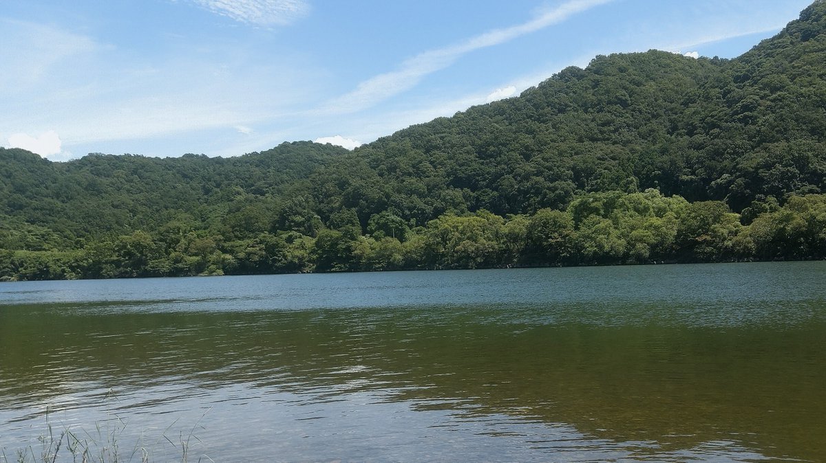 CJ11040309's tweet photo. ど日中🌞隙間フィッシング🎣
風もなく潮も動かない流れもない水温高い そして暑い🥵
トップでチーバス1匹GETするも その後はチェイスはあれど乗ることもなく終了…
目の前にデカイ魚影が見えるもニゴイならぬコイでした😅
間違って釣れなくて良かった
盆過ぎても暑さは まだまだ続きそうだなぁ…以上 https://t.co/wPfTOJFnax