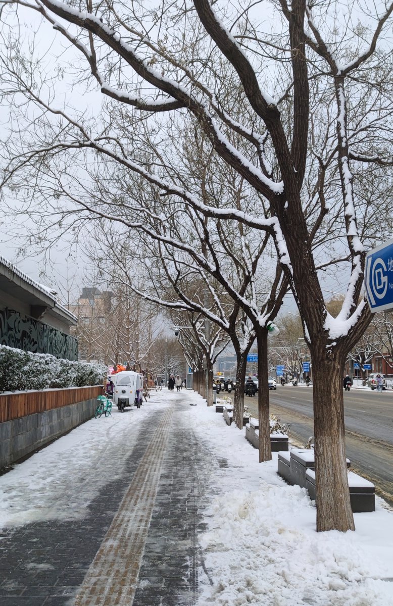 ttsh155's tweet photo. Wow! The first snow of winter just dusted the city, turning every rooftop into a fluffy white blanket—can’t wait to grab my boots and build a little snowman later! https://t.co/q4bL2ANpX9
