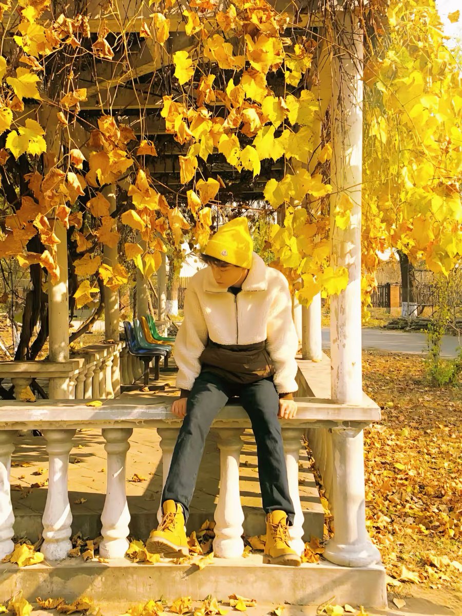 karlmax9692's tweet photo. Golden autumn breeze blows, coffee in hand, leaves dancing gently outside https://t.co/ir8wkPhQk6