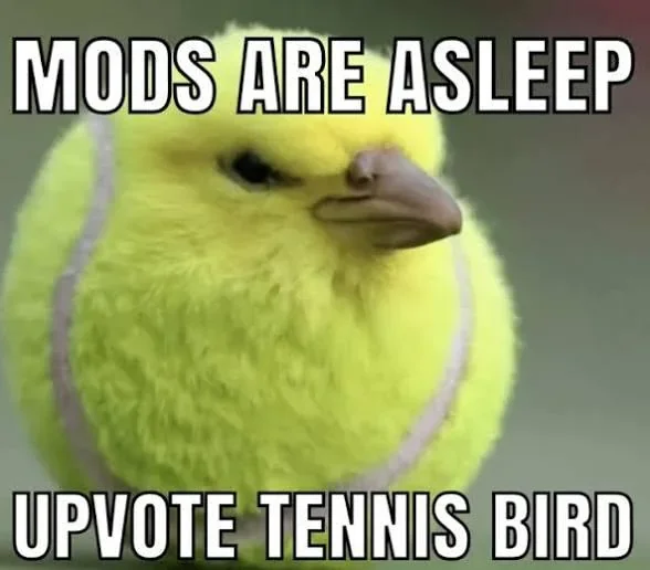GassySol's tweet photo. How did we miss this?
BERB IS GOING VIRAL  as a CULT MEME ON REDDIT TODAY
THIS IS A NEW BRAIN ROT MEME??
https://t.co/ia16cIUtfe https://t.co/ySjNAd6IyE