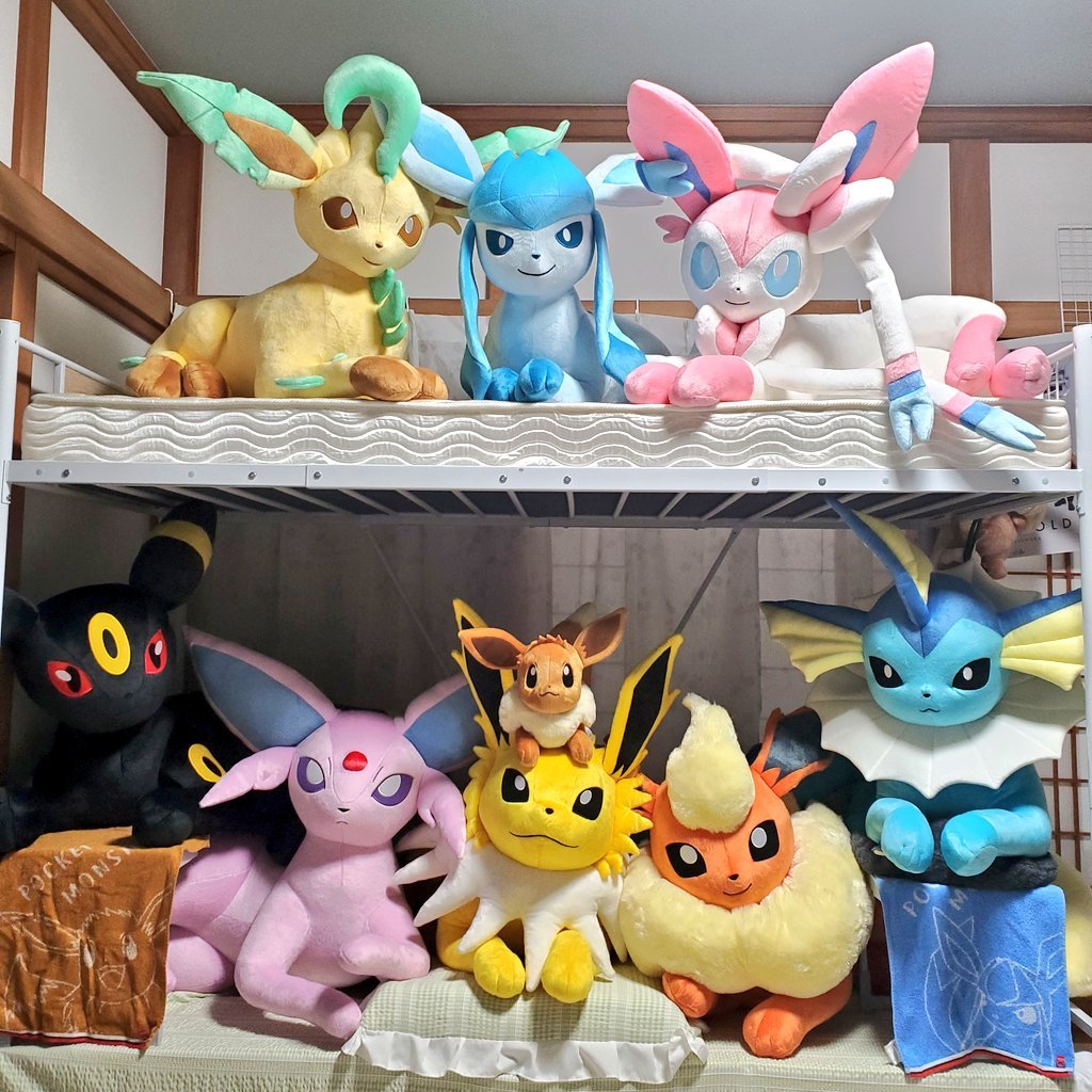 inaharu0717's tweet photo. せっかく等身大ブイズと暮らしているので、お名前つけてあげたいなってずっと思ってて…

ようやく無事に思い付いた！💡

みんなはお気に入りのポケモンに
どんなニックネームつけてるの！？

知りたーーーい！！！

(ぬいでも、ゲームでも歓迎！) https://t.co/4hwWyFhRv0