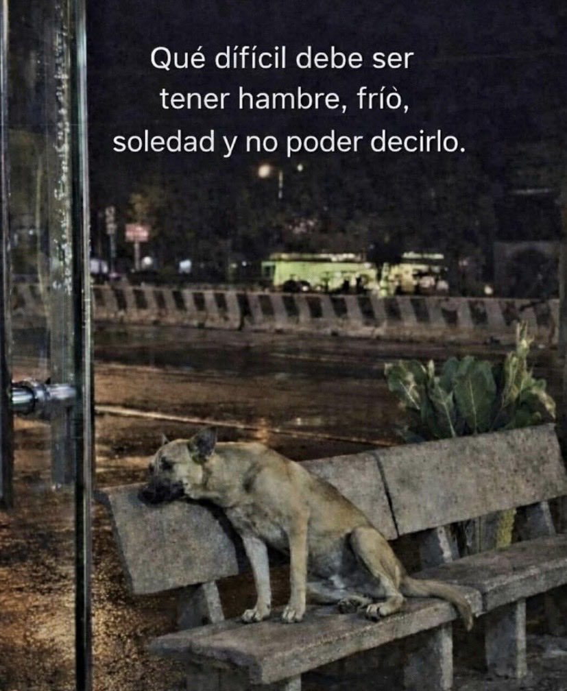 Reflexion_RD's tweet photo. Que difícil debe ser. https://t.co/GHBDs4wn6o
