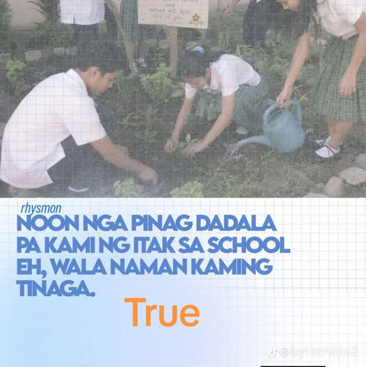 archiekins29's tweet photo. Tama naman, noong elementary ako nagdadala pa ako ng itak para gamitin sa Gardening pero wala namang nasaksak o tinaga noon sa mga estudyante. https://t.co/RAq8ZsiTmN