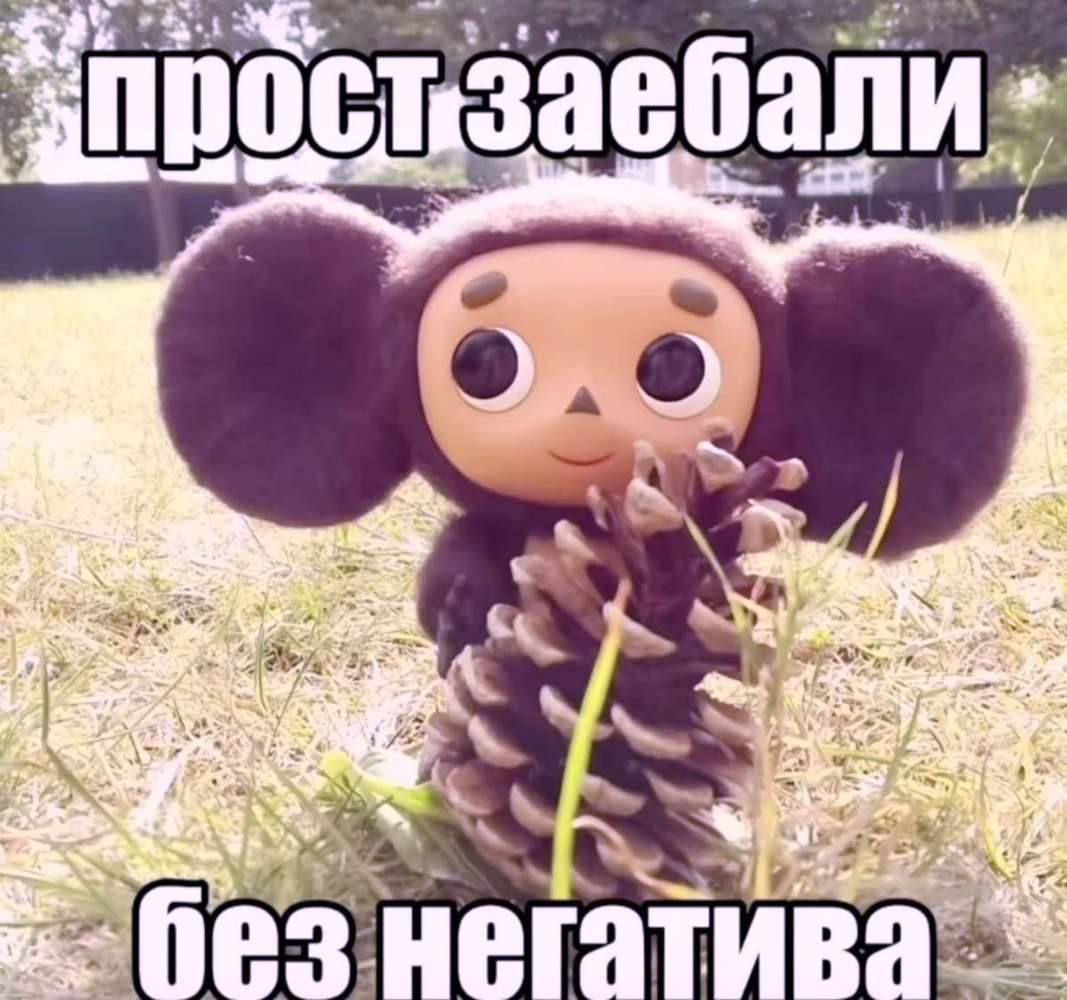 Lanaq2b's tweet photo. еду на работу с мыслью https://t.co/xdopHaCqae