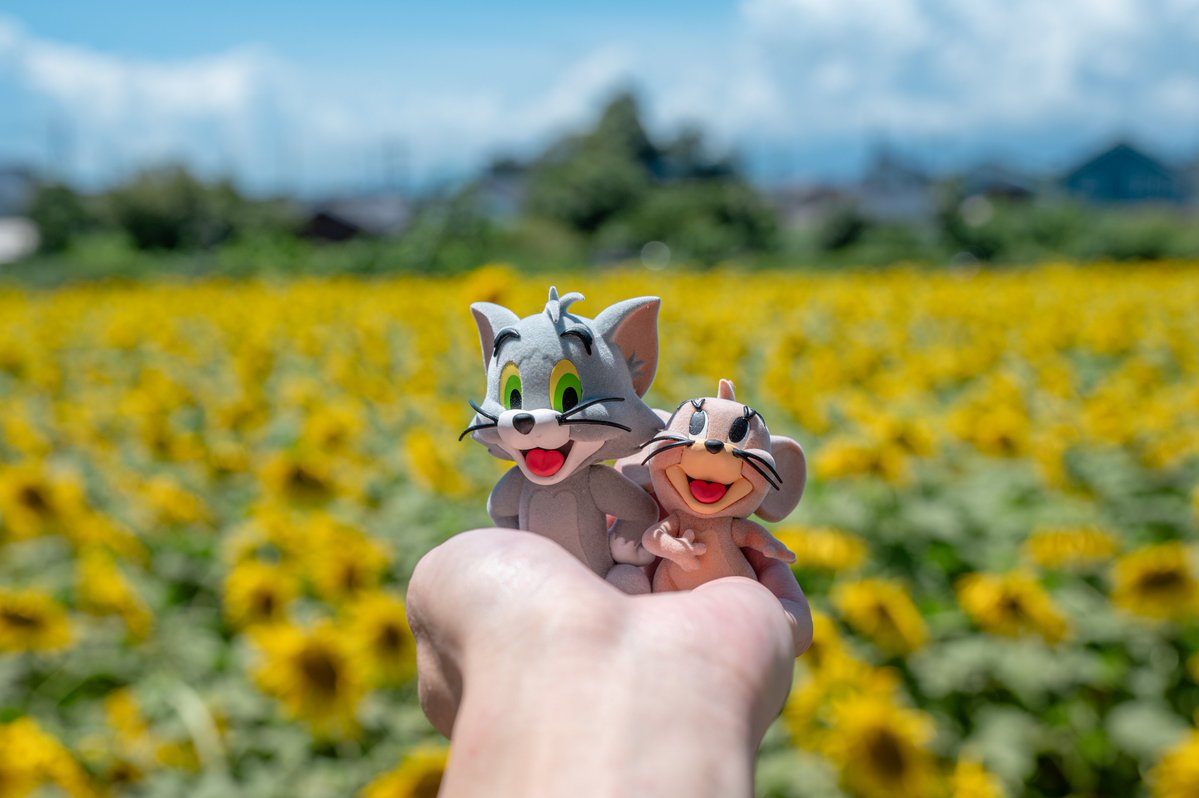871panorama's tweet photo. トムとジェリーとヒマワリ

#トムとジェリー https://t.co/uPEGbqavc9