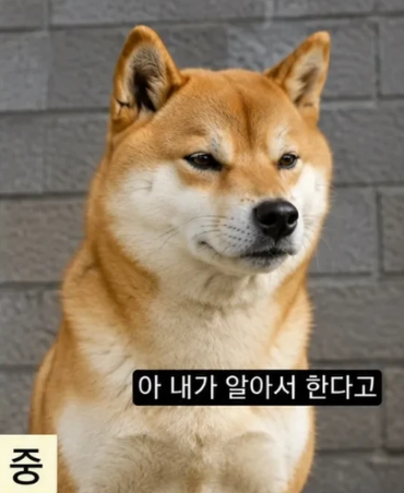 healing824's tweet photo. 시기 별 부모님이 나를 바라보는 시점 https://t.co/bQsrXJ8jvS
