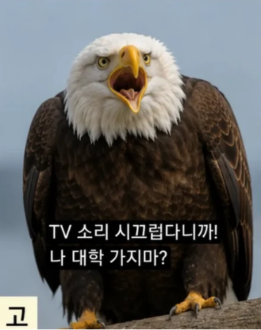 healing824's tweet photo. 시기 별 부모님이 나를 바라보는 시점 https://t.co/bQsrXJ8jvS