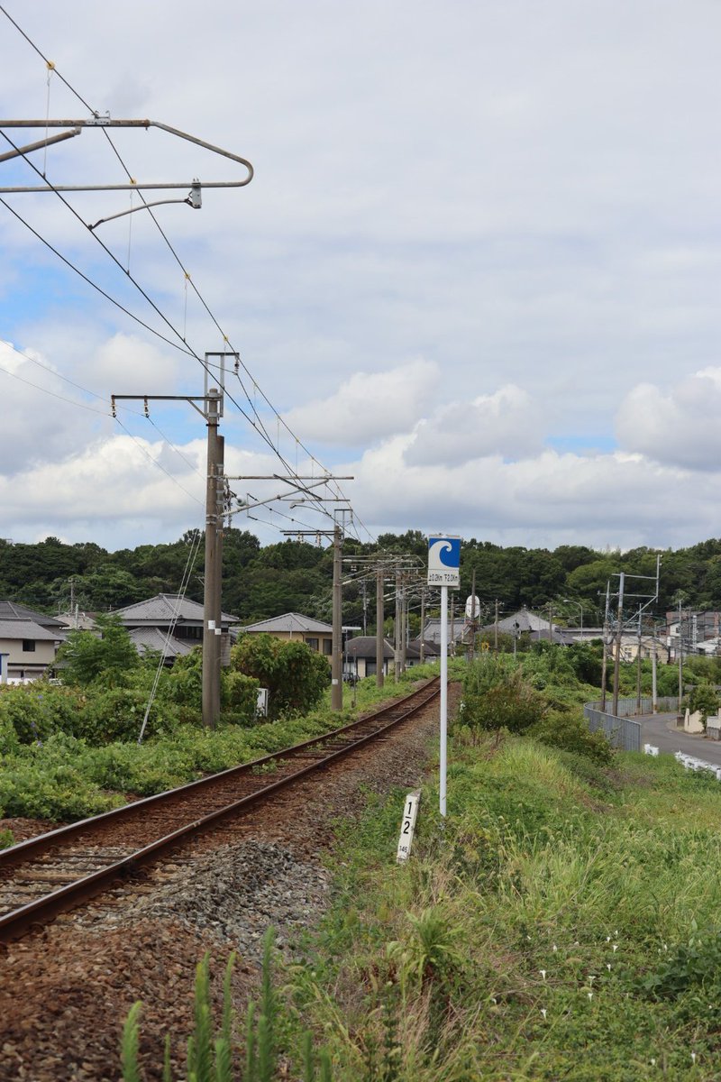 jikko680687's tweet photo. 【今日の787系】2026/8/20(Thu)
5005M特急にちりんシーガイア5号 博多7:31発 宮崎空港行き(宮崎空港13:19着)
787系 BM2編成(本ミフ)
#787系 #BM2 #南福岡車両区 #JR九州 #日豊本線 #大在駅 #坂ノ市駅 https://t.co/1eg57qbk8q