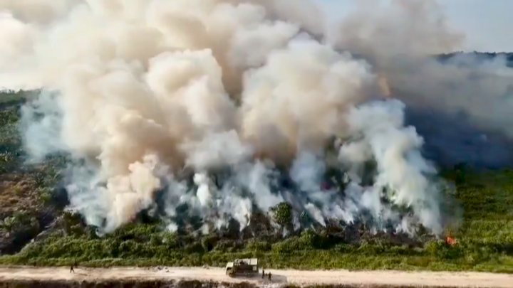 newsburning__'s tweet photo. Tagar #prayforkalimantan Bergema di Linimasa Social Media X : @kemenhut_ri  Diminta Berikan Respons
https://t.co/l8mu4Hay1C https://t.co/GGAwUUzMb5