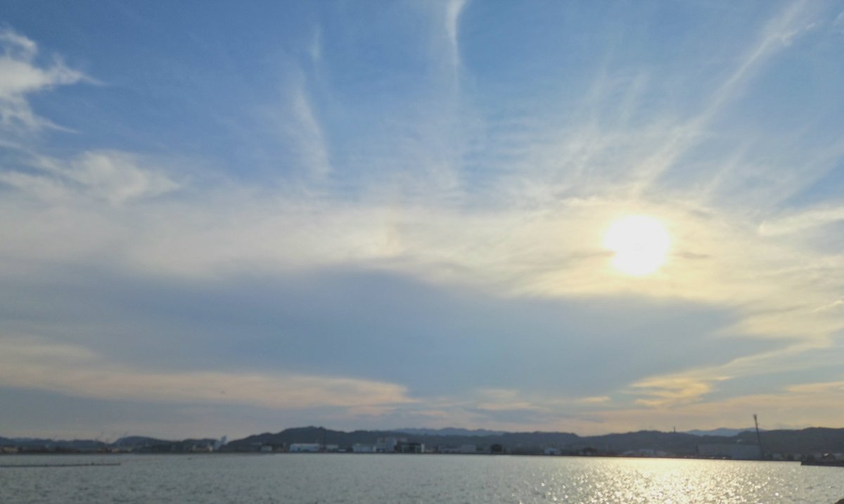 _haluta_ tweet picture