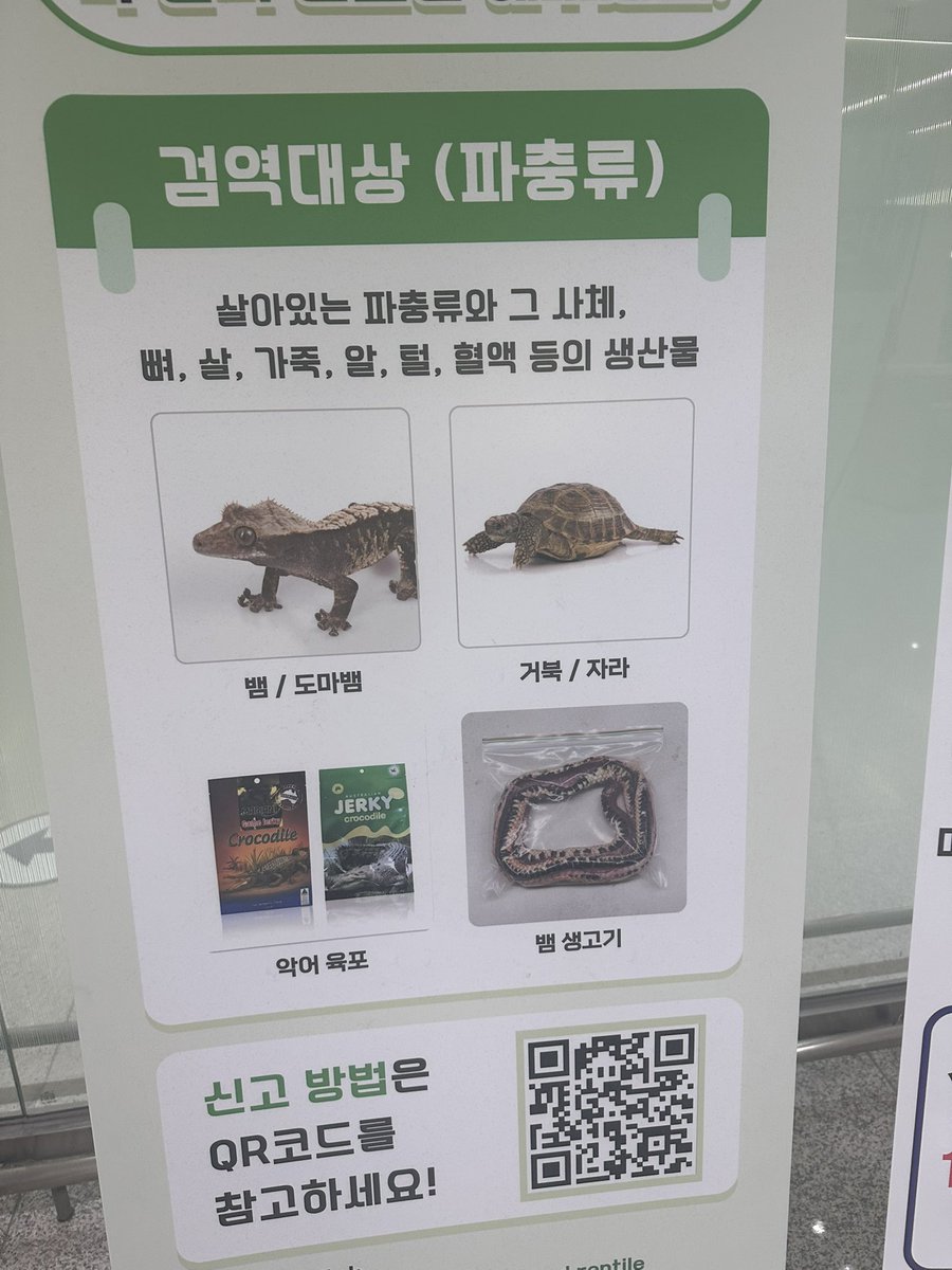 and0verr's tweet photo. 뱀 생고기…? https://t.co/JxCS8zYTOT