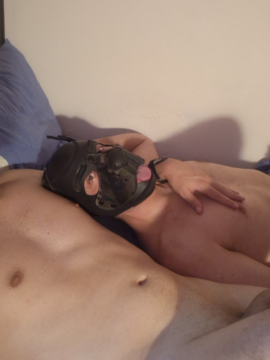 TafandMaster's tweet photo. My #Master and I
#pupplay #locked #sub https://t.co/oNs2sVd3lM