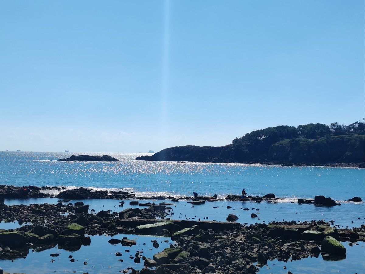 Kit000H's tweet photo. Spent the whole morning chasing blue seas and hidden coves on this tiny coastal path—found a secret bay where the only sound was waves and seagulls. Perfect low-key magic. https://t.co/BKIaVxsyS0
