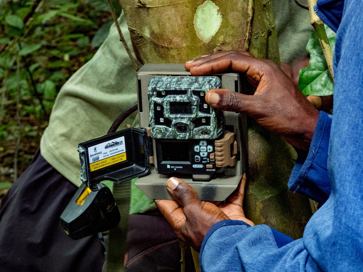 ECOTRUST_Ug's tweet photo. On the ground, @ECOTRUST_Ug is training teams in biodiversity monitoring, using camera traps and acoustic devices to capture wildlife and the sounds of forest ecosystems.

We’re also strengthening inclusive, gender-sensitive community engagement through the GALS methodology. https://t.co/pL5EVa8XiJ