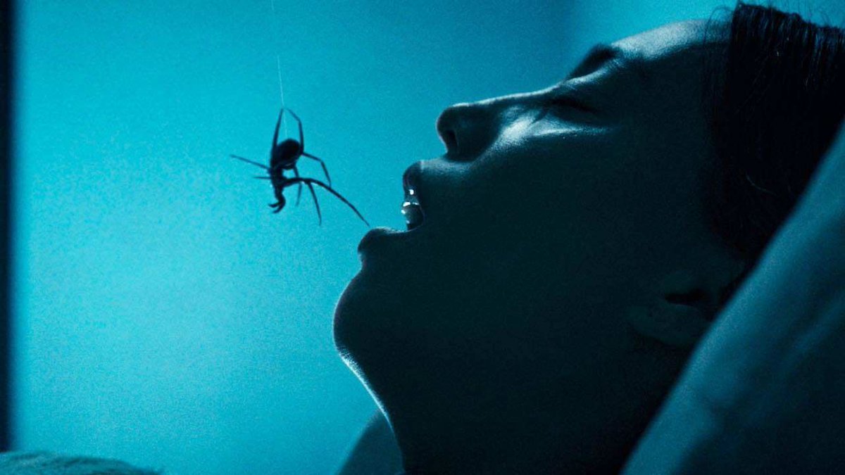 allocine's tweet photo. Premières images Crawlers : 3 ans après Vermines, ce film va-t-il devenir le nouveau phénomène horrifique de l'année ? La bande-annonce est prometteuse ! https://t.co/yaAwbWmuyO https://t.co/vWSR3KiuxK