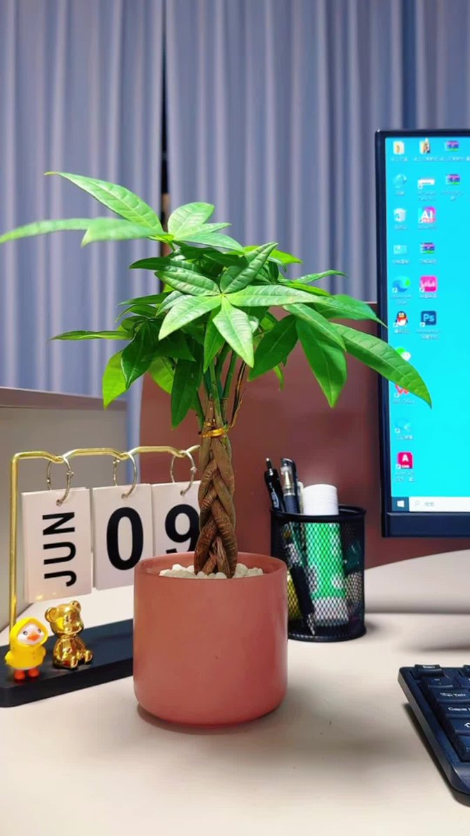JThanishlas6's tweet photo. A clutter-free desk is a happy desk  Just finished setting up my new desk accessory—working feels so much more focused now! #WorkspaceGoals #OfficeSetup， https://t.co/Y6oveAUGy4