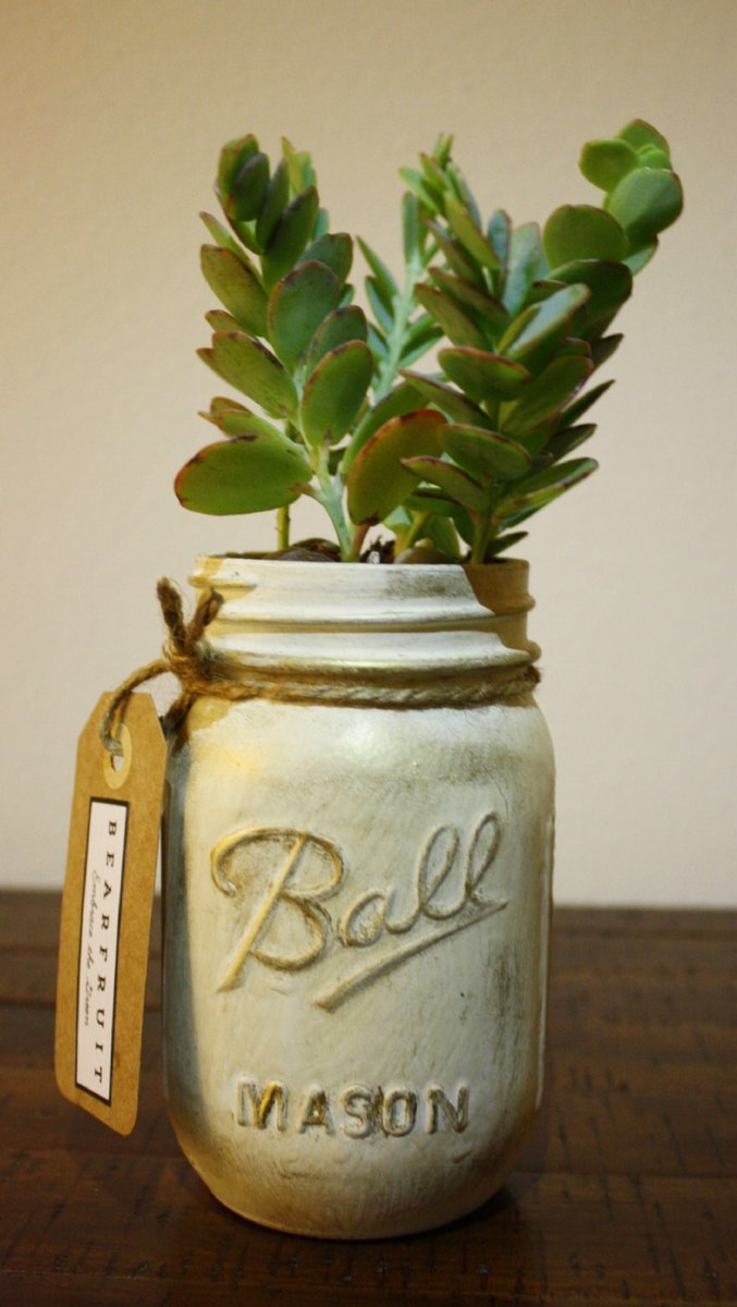 RErnser60282's tweet photo. [Turned an old mason jar into a stylish planter with some chalk paint and twine! Upcycling on a budget = best weekend project ever ]， https://t.co/zURbUQ6Oov