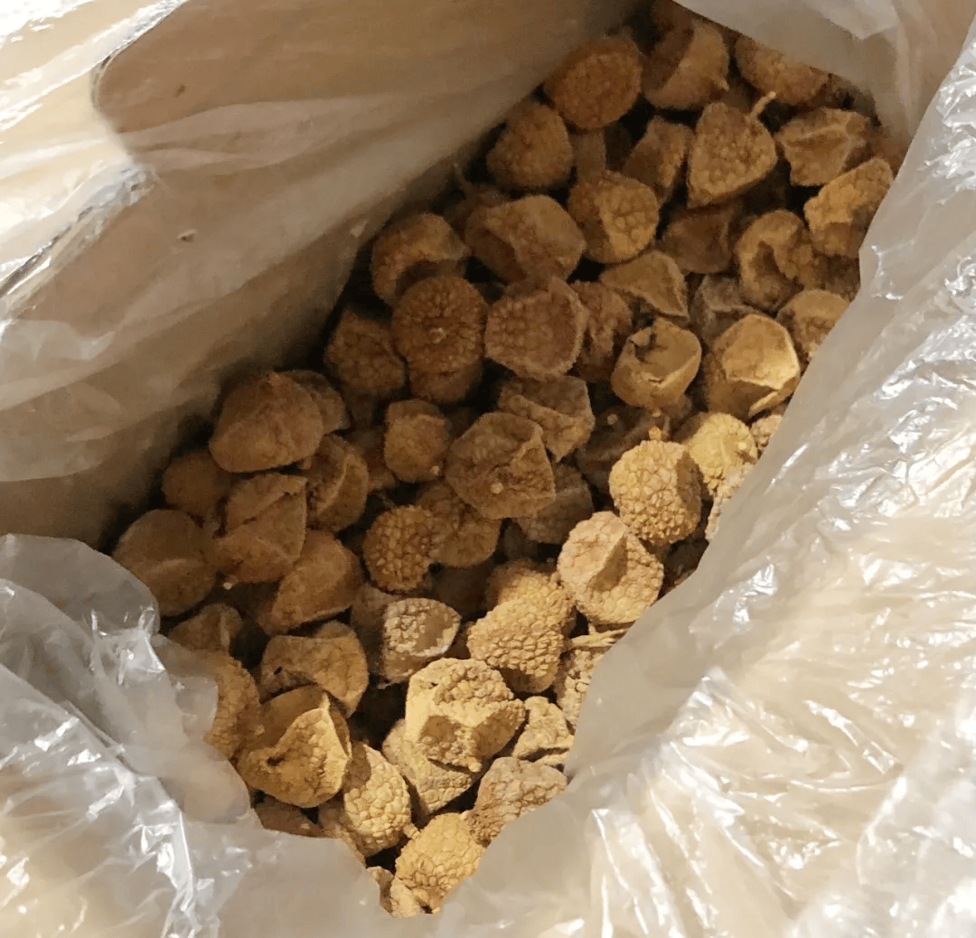 SaraNixonyg's tweet photo. Nuevos snacks de frutas deshidratadas, súper crujientes y sin azúcar aadido! Compártelos con tus compaeros, son ideales para cualquier antojo! https://t.co/0urVZNC0Hv